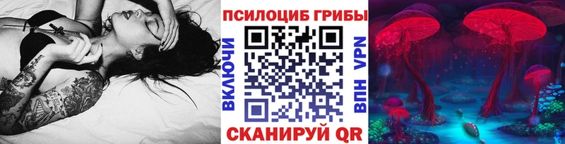 Галлюциногенные грибы Cubensis Купить Александров