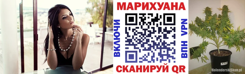 Конопля LSD WEED  Купить где  Александров 